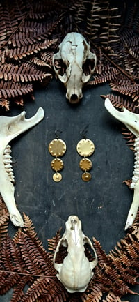 Image 1 of Solar Shield brass earrings