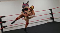 Image 2 of Chardonnay destroyed jobber match 
