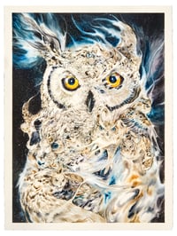 Image 1 of OWLS