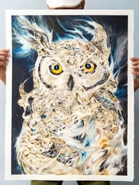 Image 2 of OWLS