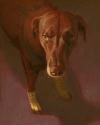 Image 2 of Custom Pet Portrait