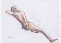 Life Drawing - Charcoal & Coloured Pencil on Paper 