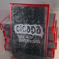 Image 2 of CICADA - True Self Destruction CS