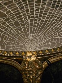 Image 4 of Ornate vintage Glass backed  Hand Mirror - With Real Preserved Spider Web