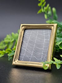 Image 2 of Mini  gold framed pretty preserved web