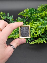 Image 1 of Mini  gold framed pretty preserved web