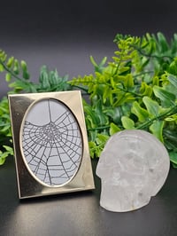 Image 1 of Mini gold and white framed pretty preserved web
