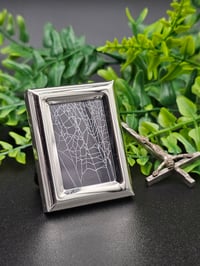 Image 2 of Small silver standing framed preserved web