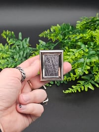 Image 1 of Small silver standing framed preserved web