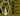 Military Combat Ribbon LIMITED EDITION READ DESCRIPTION