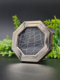 Image 1 of Silver Hexagon mini preserved spider web 