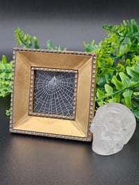 Image 1 of Small square gold framed preserved spider web 