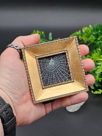 Image 3 of Small square gold framed preserved spider web 