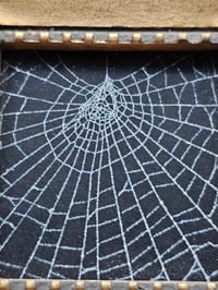 Image 4 of Small square gold framed preserved spider web 