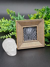 Image 3 of Small square gold framed preserved spider web B