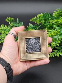 Image 1 of Small square gold framed preserved spider web B
