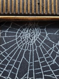 Image 4 of Small square gold framed preserved spider web B