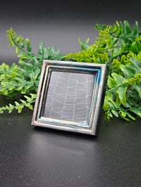 Image 3 of Square preserved spider web 