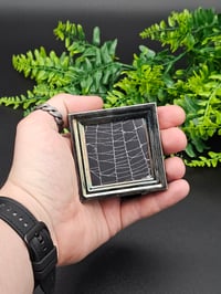 Image 1 of Square preserved spider web 