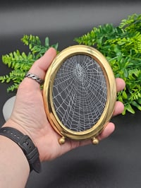 Image 3 of Brass oval framed preserved web