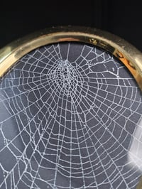 Image 4 of Brass oval framed preserved web