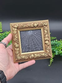 Image 1 of Square gold ornate fruits preserved spider web 