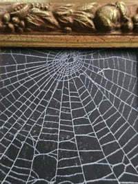 Image 4 of Square gold ornate fruits preserved spider web 