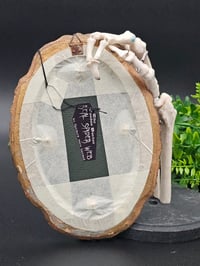 Image 4 of Antique Oval ornate framed real preserved spider web
