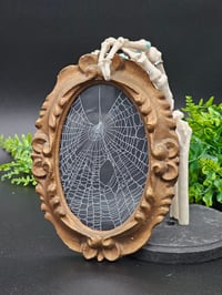 Image 2 of Antique Oval ornate framed real preserved spider web