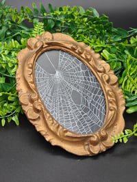 Image 1 of Antique Oval ornate framed real preserved spider web