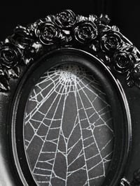 Image 2 of Ornate Oval gothic preserved web - C