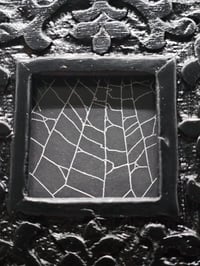 Image 4 of Ornate Square Black gothic preserved web - B