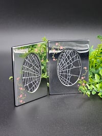 Image 4 of A pretty double silver metal framed preserved spider web. 