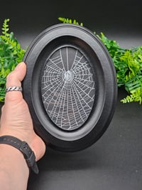 Image 1 of  Gothic black Oval ornate framed preserved web