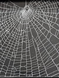Image 4 of Large Square Black Gothic statement framed preserved web 
