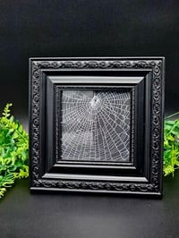 Image 1 of Large Square Black Gothic statement framed preserved web 