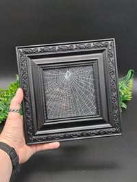 Image 2 of Large Square Black Gothic statement framed preserved web 