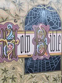 Image 2 of "HOLY BIBLE" 1800's bible page with preserved spider web - Wooden frame