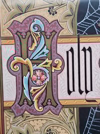 Image 6 of "HOLY BIBLE" 1800's bible page with preserved spider web - Wooden frame