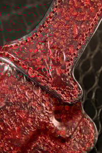 Image 5 of Staccato C2 RED and Black IWB holster with DCC clip.