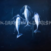 Image 2 of THE BELUGAS original painting