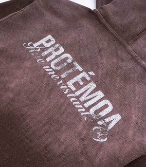 Image of PROTÉMOA - Reversed Hoodie