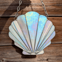 Image 1 of Coquillage de légende