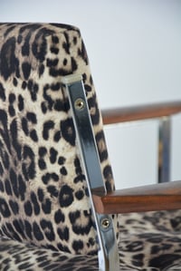 Image 7 of Fauteuil Chromé Léopard