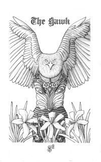 The Hawk