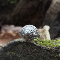 Image 2 of Spiral shell ring