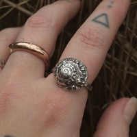 Image 1 of Spiral shell ring