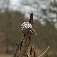 Image 3 of Spiral shell ring