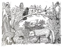 Forest Community