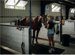 Image of Autour du paddock. Hippodrome de Trois-Rivières (29)